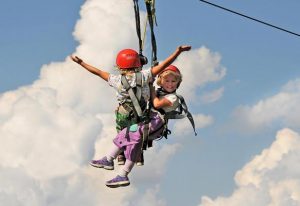 Flying Fox